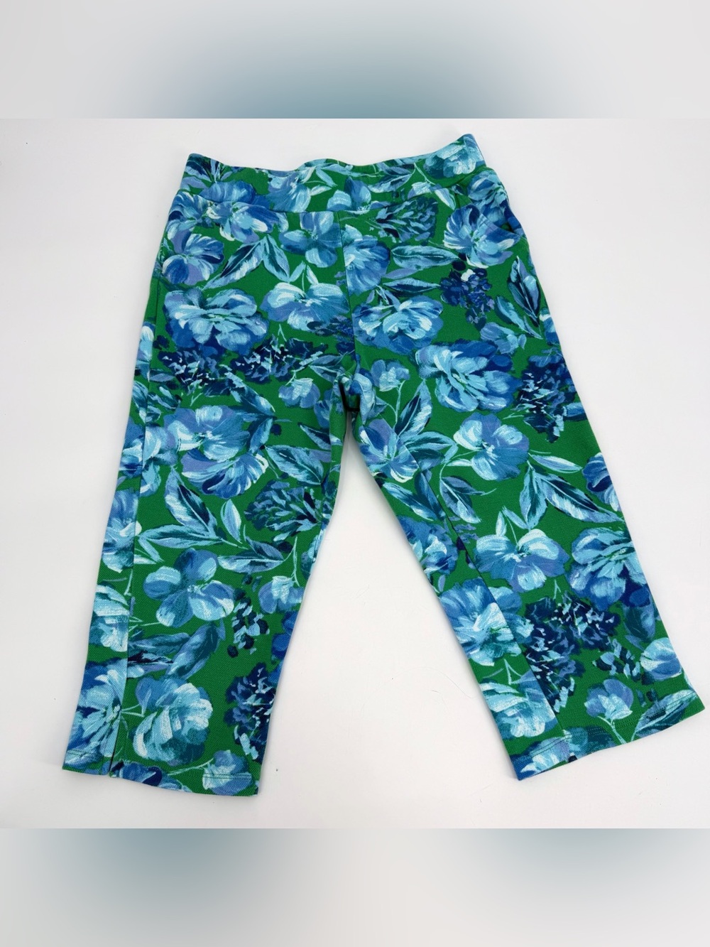 Belle by Kim Gravel Pants Womens XS Green Blue Floral Capri Pull On Crop READ